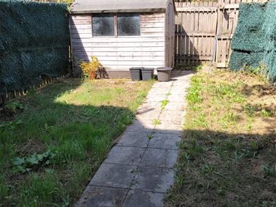 Picture 16
